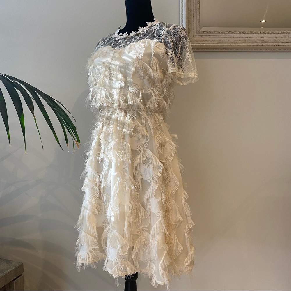 VALLEYGIRL Dust Pink Fringe Midi Dress Lace Romantic Evening Fit & Flare Size 8 - Picture 4 of 14